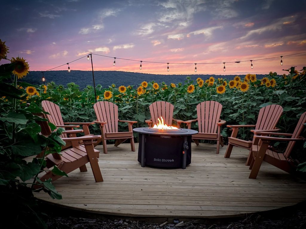 Summer Music Series