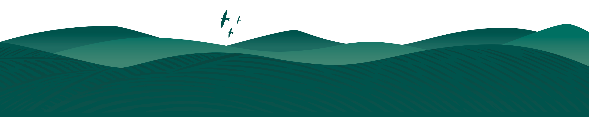Hills and birds